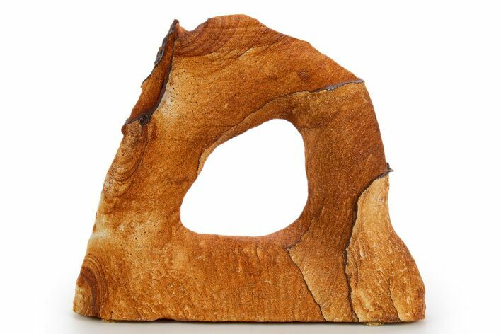 Wide Picture Sandstone Arch - Arizona #324457